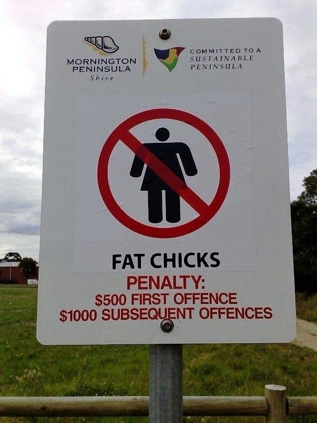 Obrázek Fat chicks