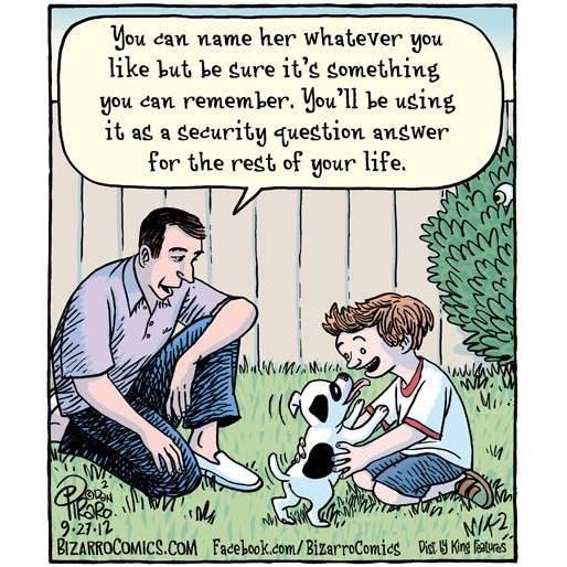 Obrázek Favorite&nbsp;pet