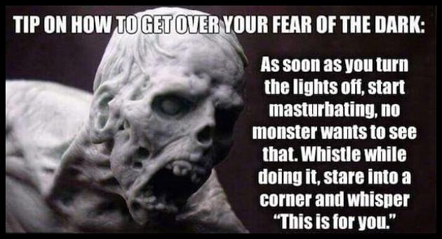 Obrázek Fear Of The Dark