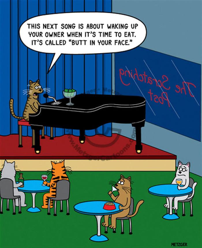 Obrázek Feline at the piano