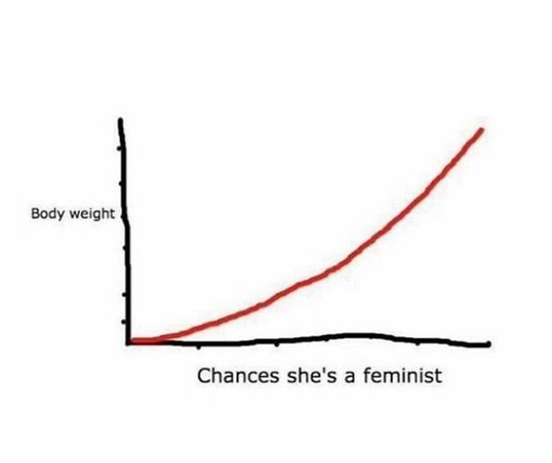 Obrázek Feminism Chart  