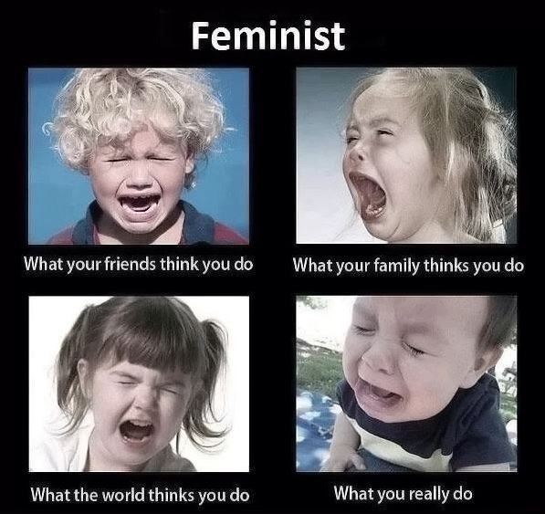 Obrázek Feminist.  