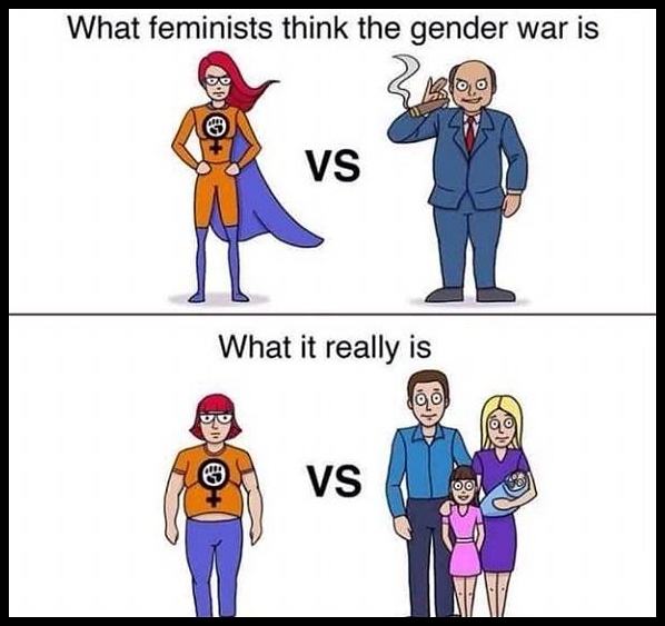 Obrázek Feminists Gender War