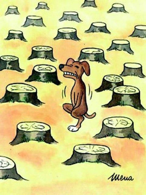 Obrázek Fido frustration