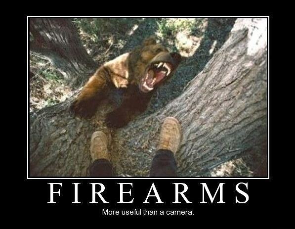 Obrázek Firearms - 12-04-2012