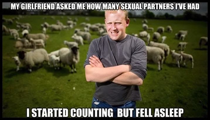 Obrázek First world sheep farmer problems
