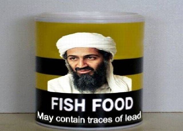 Obrázek Fish food