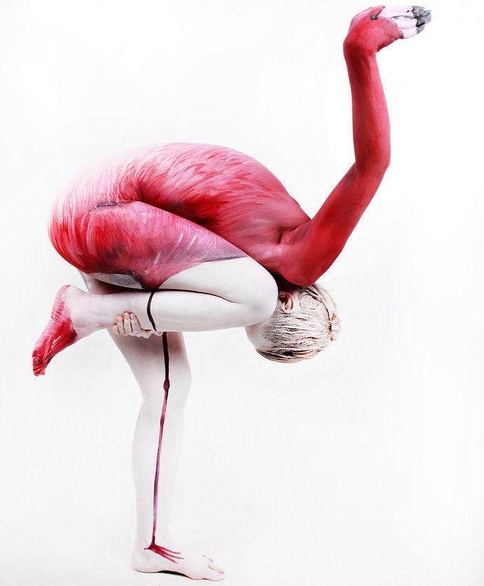Obrázek Flamingo 09-01-2012