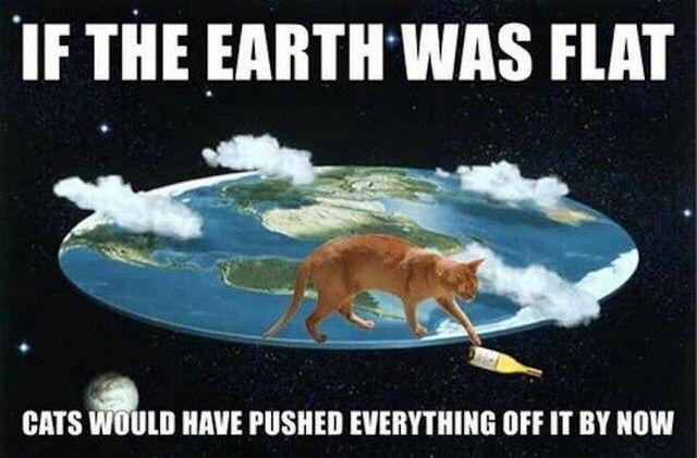 Obrázek Flat Cat Earthers