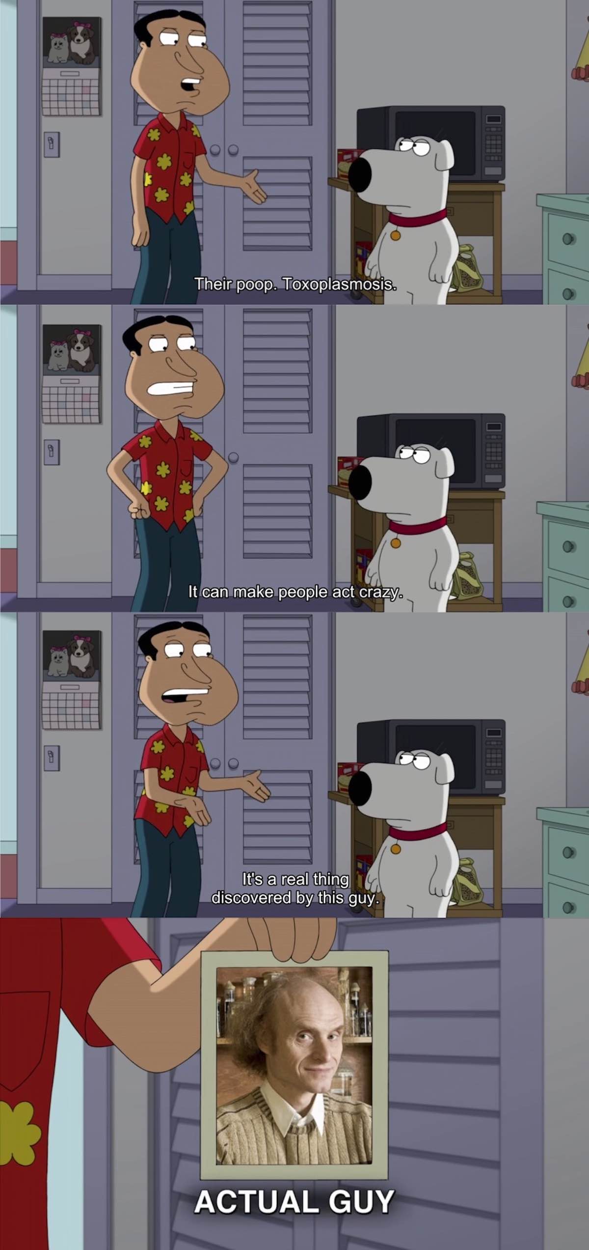 Obrázek Flegr ve Family Guy