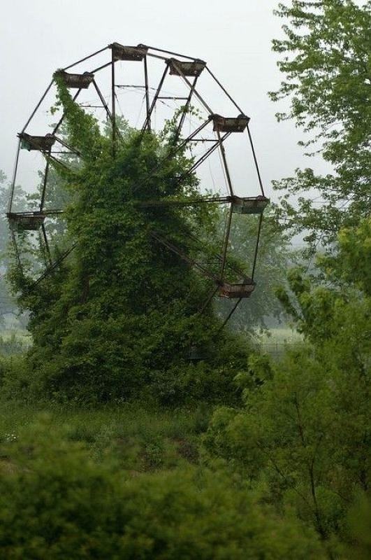 Obrázek Forest carousel