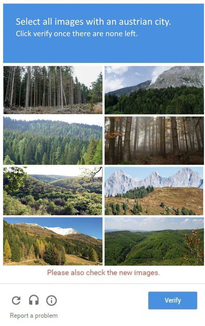 Obrázek Forrest cityes