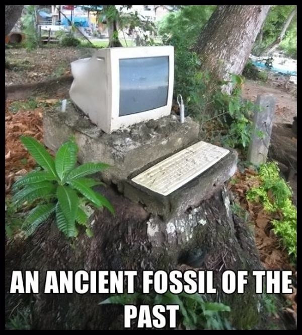 Obrázek Fossil  