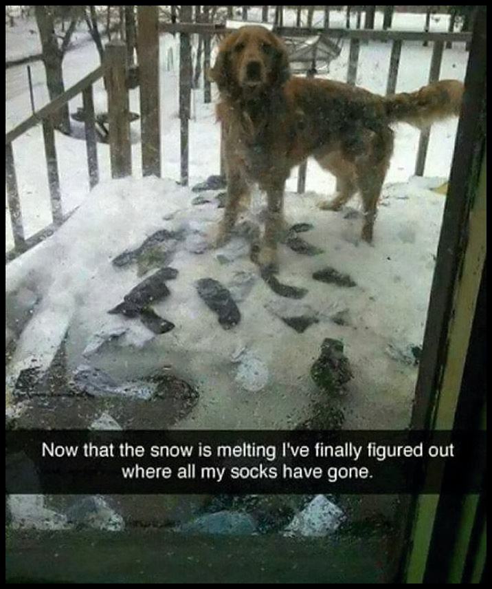 Obrázek Found AII My Socks