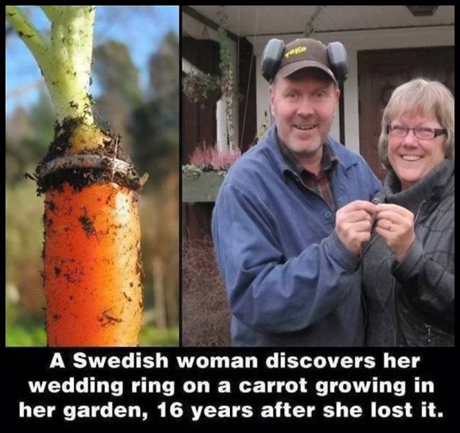 Obrázek Found Her Wedding Ring