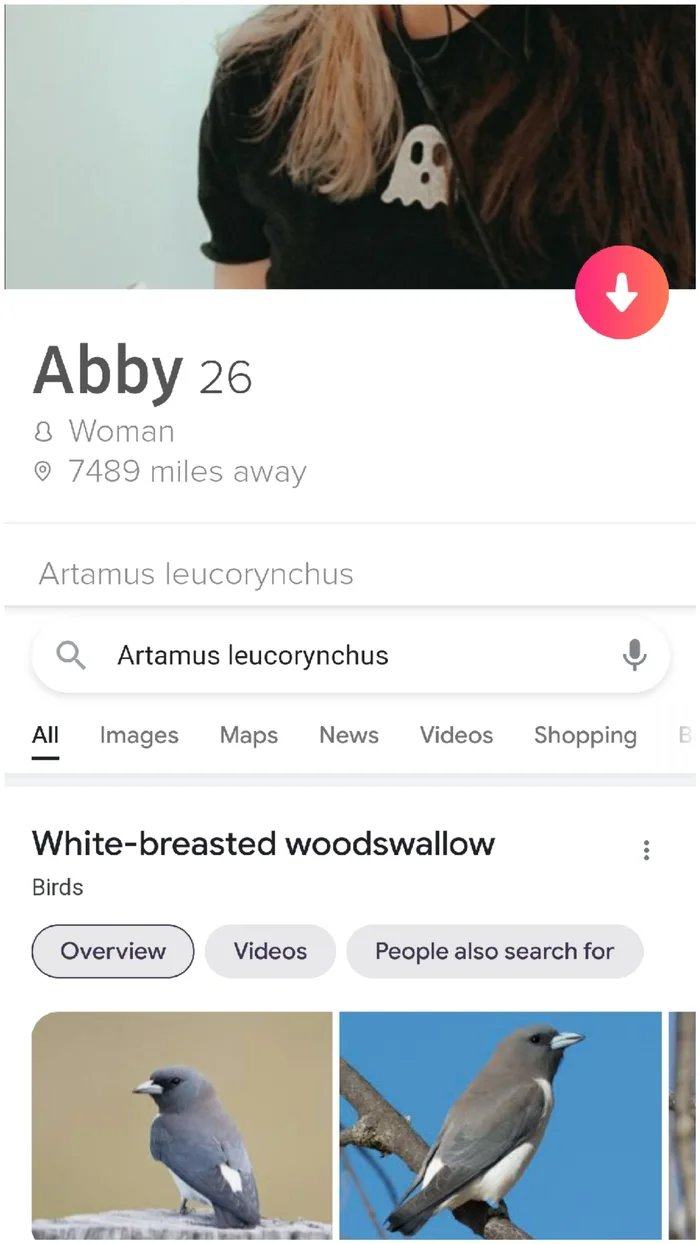 Obrázek Found gold on tinder