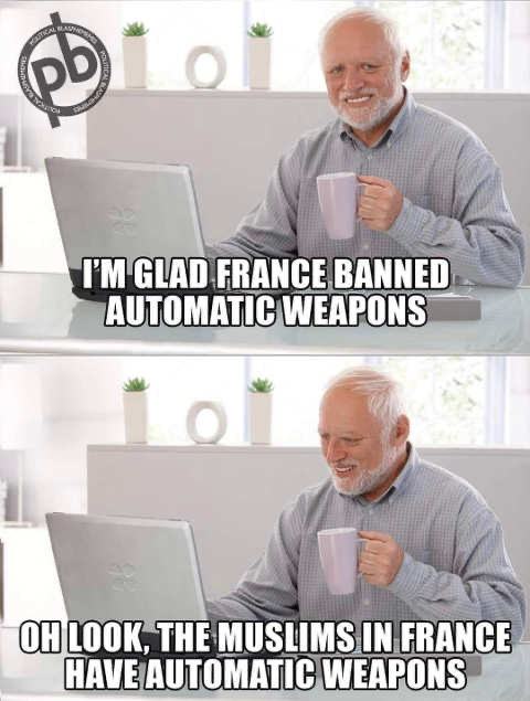 Obrázek France banned guns