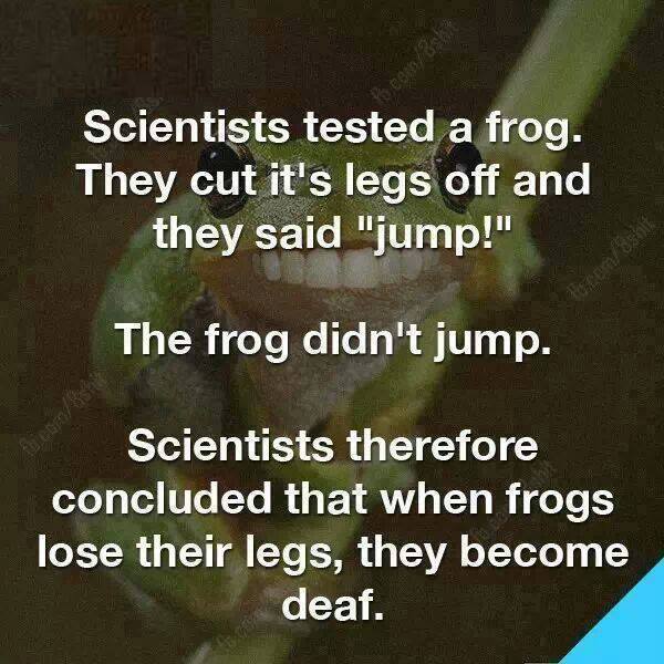 Obrázek Frogs dont speak English