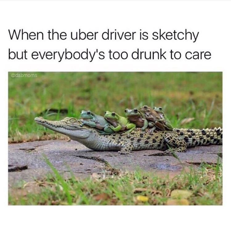 Obrázek Frogs taking Uber