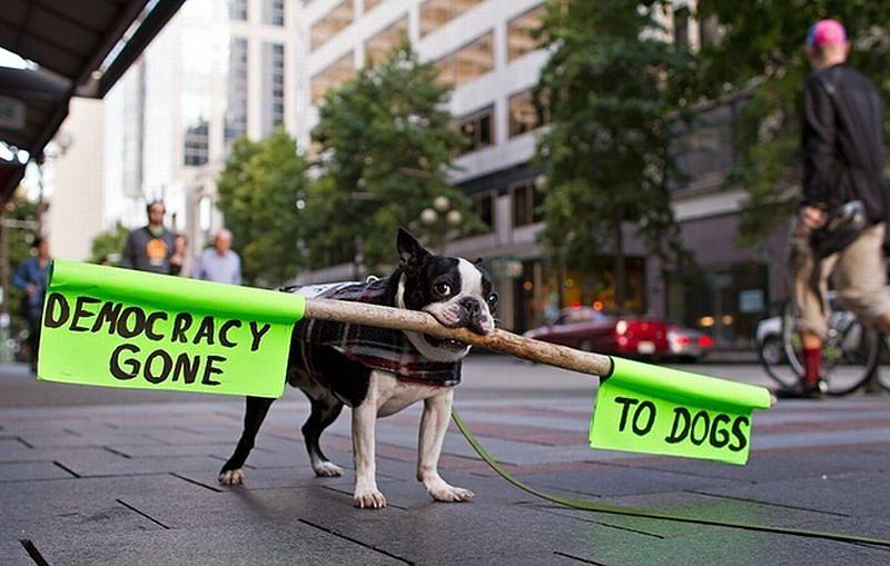 Obrázek From an Occupy protest in Seattle