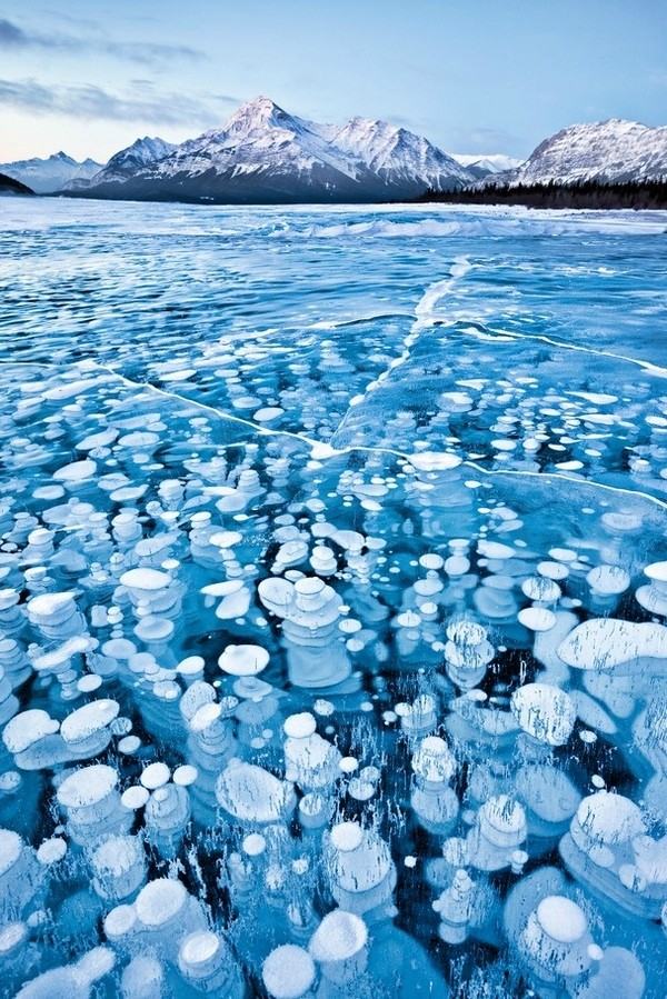 Obrázek Frozen bubbles