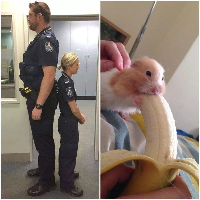 Obrázek Fuck da police