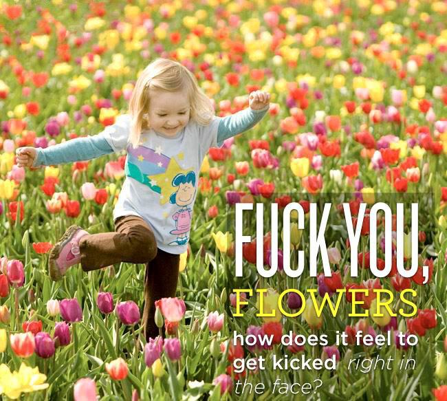 Obrázek Fuck you flowers