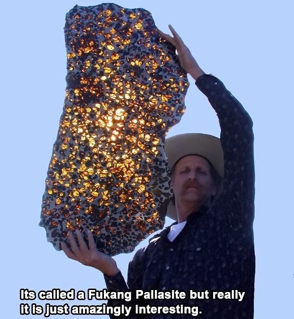 Obrázek FukangPalasite