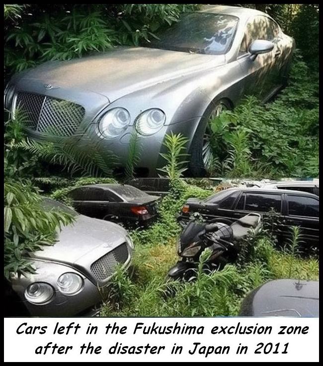 Obrázek FukushimaIn2011