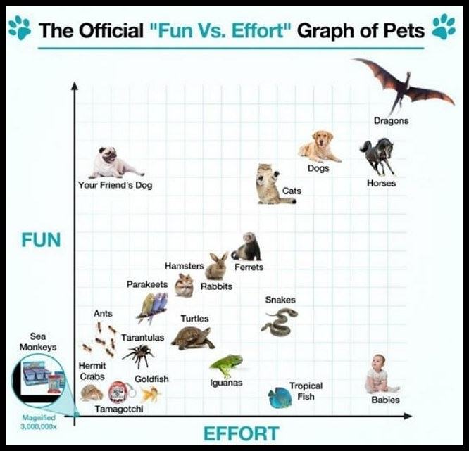 Obrázek Fun Vs Effort Graph For Pets