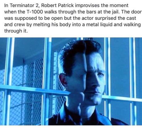 Obrázek Fun fact Terminator