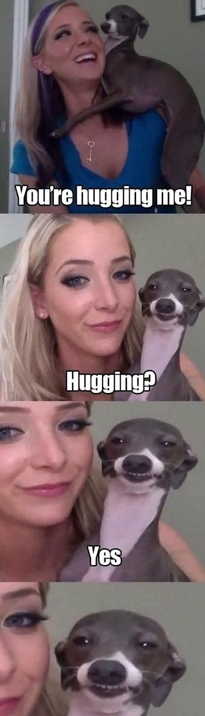 Obrázek Funny-Hugging