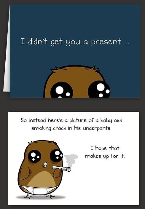Obrázek Funny-baby-owl-comic