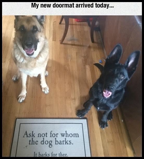 Obrázek Funny-doormat