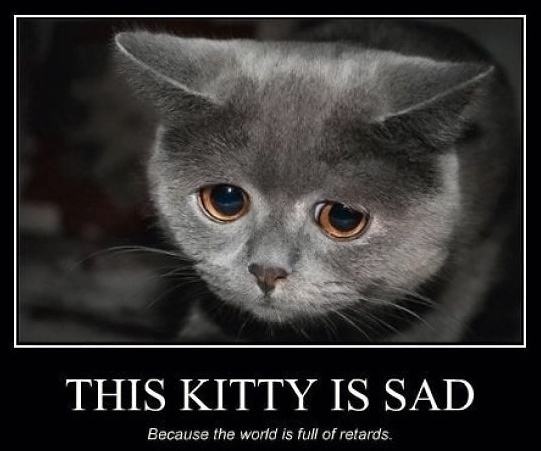 Obrázek Funny-sad-kitty