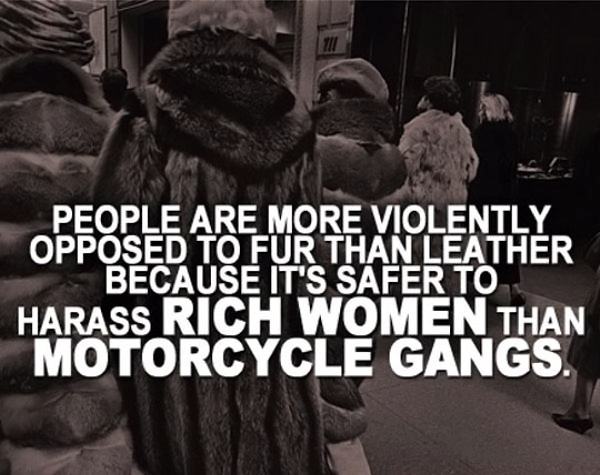 Obrázek Fur Haters. . .