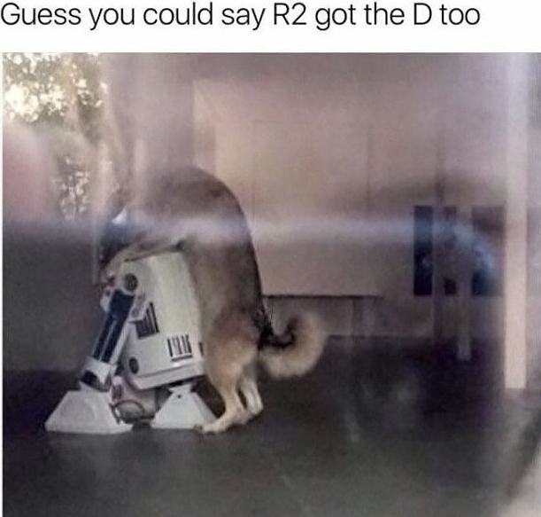 Obrázek GOT The D Too