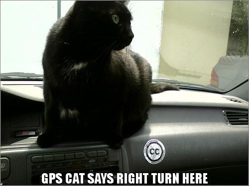 Obrázek GPS-CAT