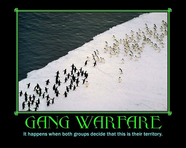 Obrázek Gang warfare 08-01-2012