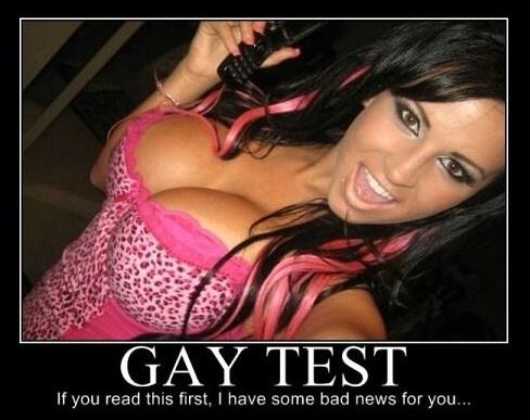 Obrázek Gay Test 2