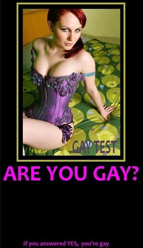 Obrázek Gay Test 26-03-2012