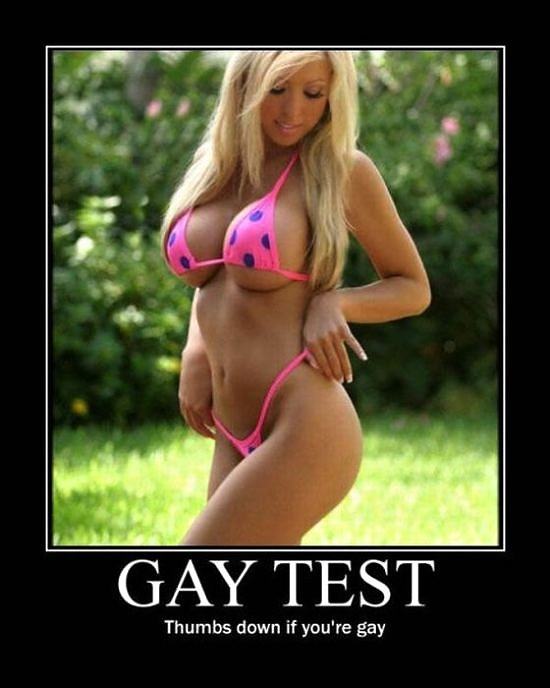 Obrázek Gay test - 18-06-2012