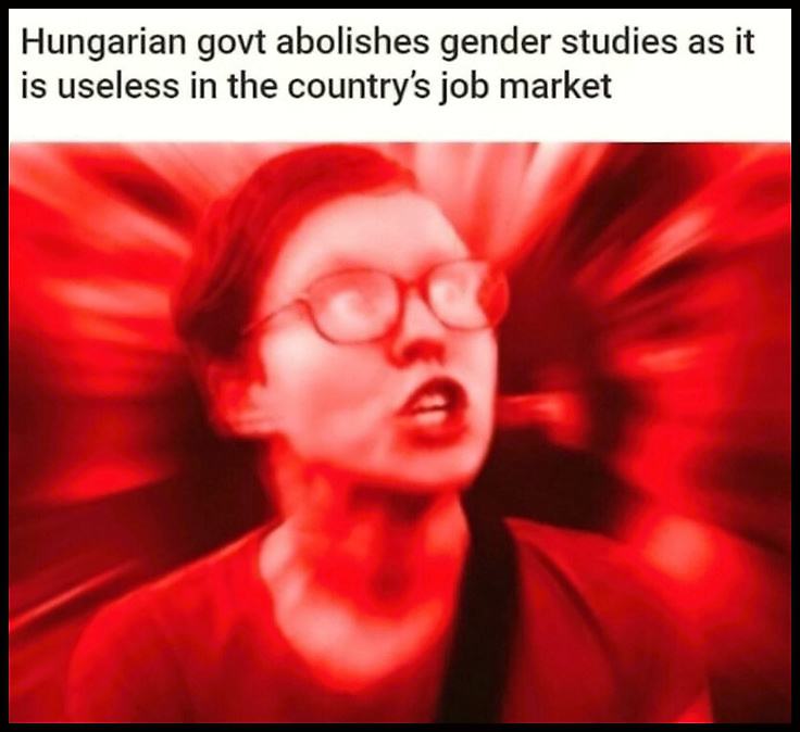 Obrázek GenderStudieS