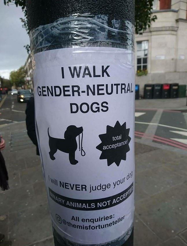 Obrázek Gender Neutral Dogs