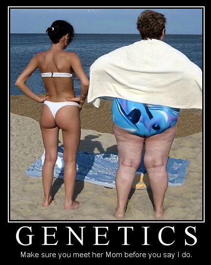 Obrázek Genetics - 09-05-2012