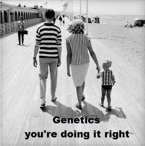 Obrázek Genetics 10-02-2012