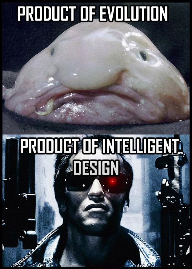 Obrázek Genetics&nbsp;fixed