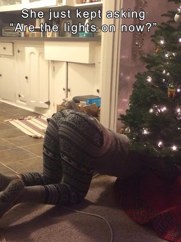 Obrázek Genius or Stupid   