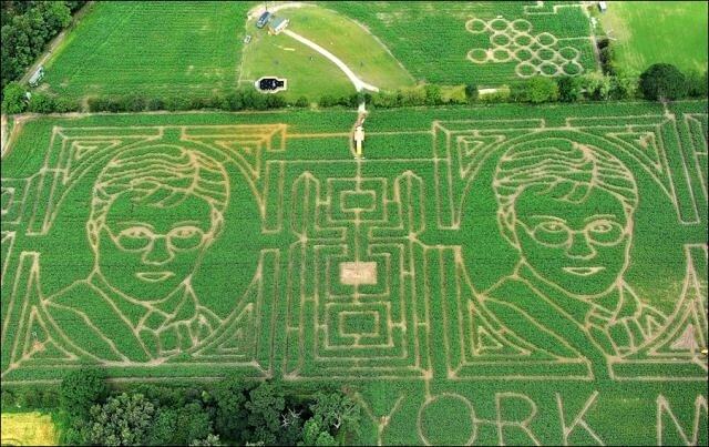 Obrázek Gigantic Corn Maze I
