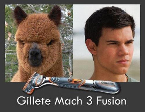 Obrázek Gillete Mach 3 Fusion